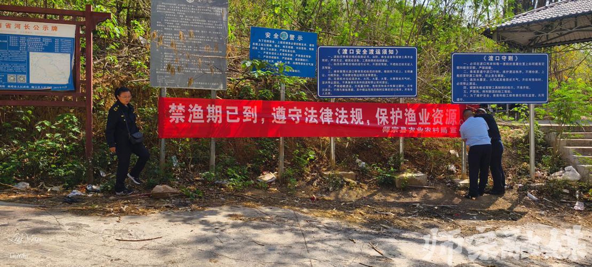 金塘茶花苗圃
